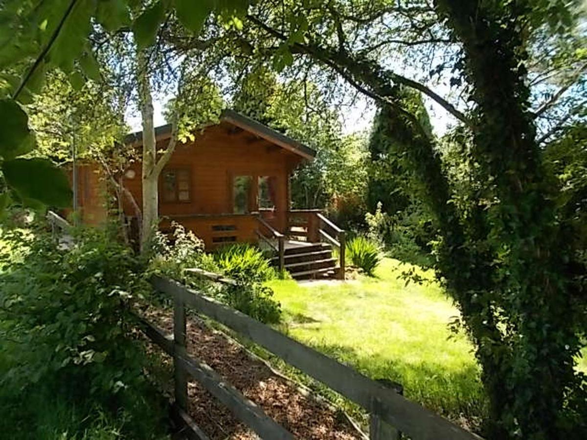 Tudor Lodge With Pool & Bbq Cabin Liskeard Dış mekan fotoğraf
